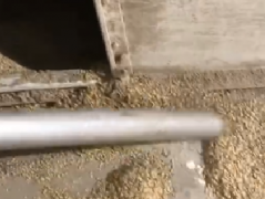 真空清掃係（xì）統代（dài）替傳統吸糧機